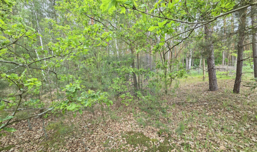 Działka na Sprzedaż, 711.00m2, Łęg - 1
