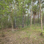 Działka na Sprzedaż, 711.00m2, Łęg - 3