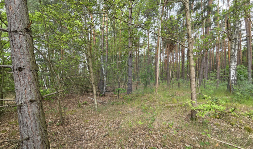 Działka na Sprzedaż, 711.00m2, Łęg - 3
