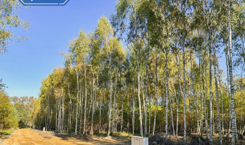 Działka na Sprzedaż, 610.00m2, Gruszewnia - 1