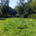 Działka na Sprzedaż, 1315.00m2, Częstochowa-Zawodzie - Dąbie - 7
