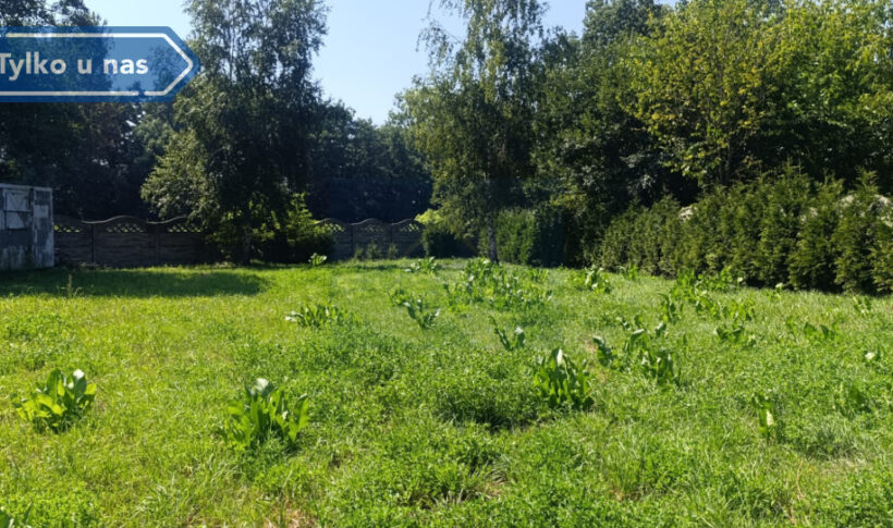Działka na Sprzedaż, 1315.00m2, Częstochowa-Zawodzie - Dąbie - 7