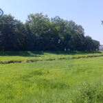 Działka na Sprzedaż, 1315.00m2, Częstochowa-Zawodzie - Dąbie - 9