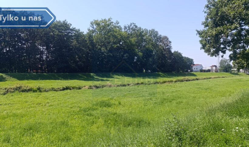 Działka na Sprzedaż, 1315.00m2, Częstochowa-Zawodzie - Dąbie - 9