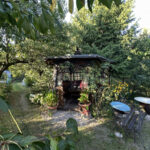 Dom na Sprzedaż, 35.00m2, Wyrazów - 6
