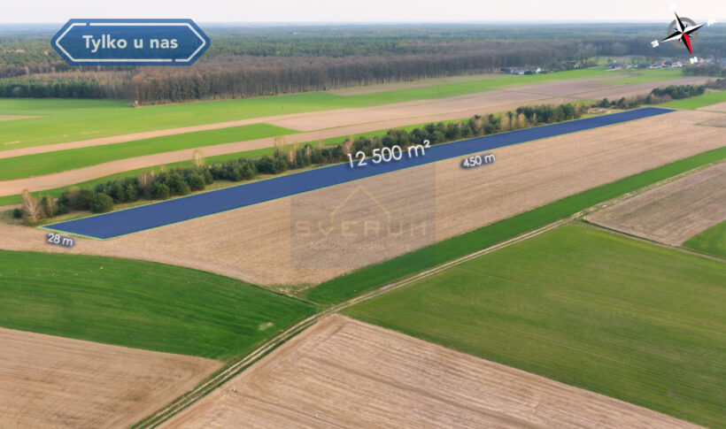 Działka na Sprzedaż, 12500.00m2, Rogi - 0