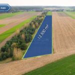 Działka na Sprzedaż, 12500.00m2, Rogi - 3