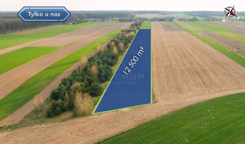 Działka na Sprzedaż, 12500.00m2, Rogi - 3