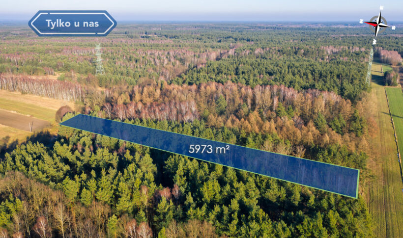Działka na Sprzedaż, 5973.00m2, Borowe - 1