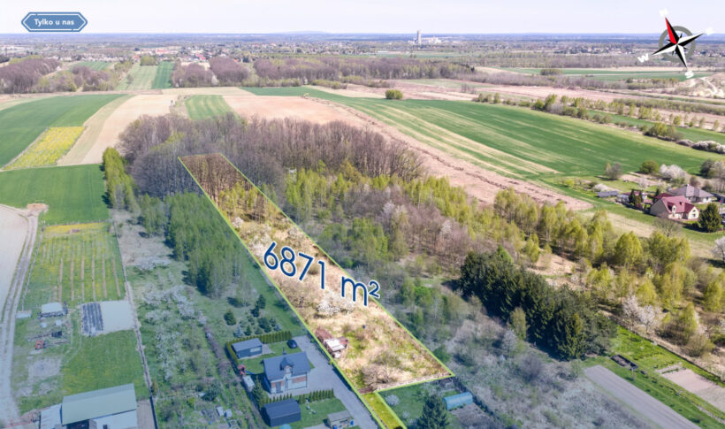 Działka na Sprzedaż, 6871.00m2, Jaskrów - 4