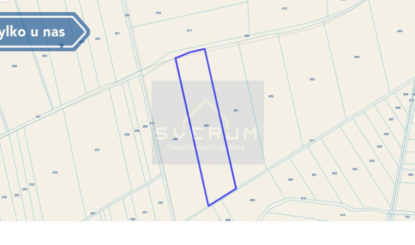 Działka na Sprzedaż, 44100.00m2, Kopaniny - 3