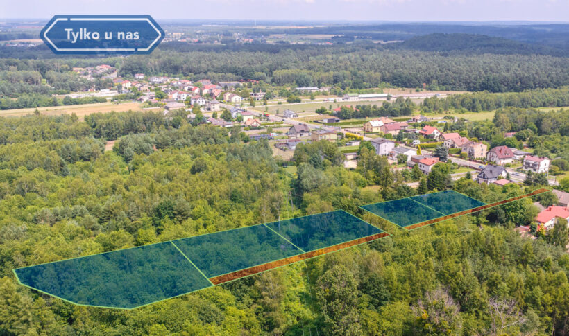 Działka na Sprzedaż, 8096.00m2, Wręczyca Wielka - 3