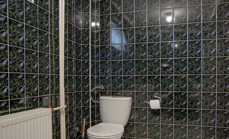 Dom na Sprzedaż, 326.30m2, Borowe - 12