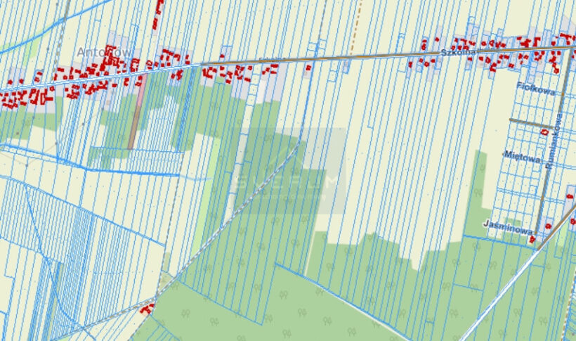 Działka na Sprzedaż, 5045.00m2, Antonów - 1