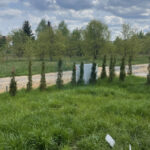 Dom na Sprzedaż, 132.00m2, Częstochowa-Kiedrzyn - 11