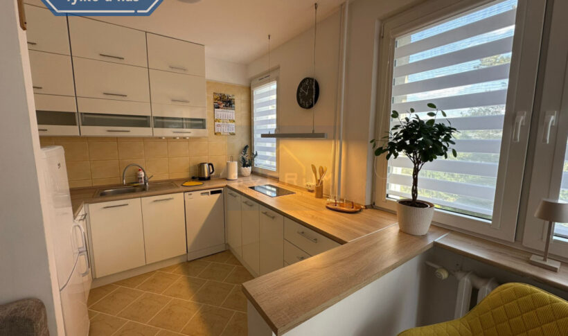 Mieszkanie na Wynajem, 27.60m2, Częstochowa-Podjasnogórska - 1