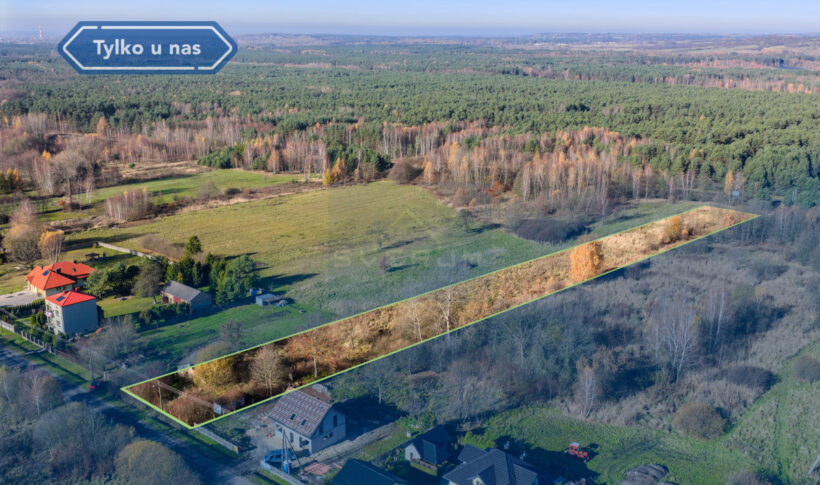 Działka na Sprzedaż, 17105.00m2, Góra Włodowska - 1