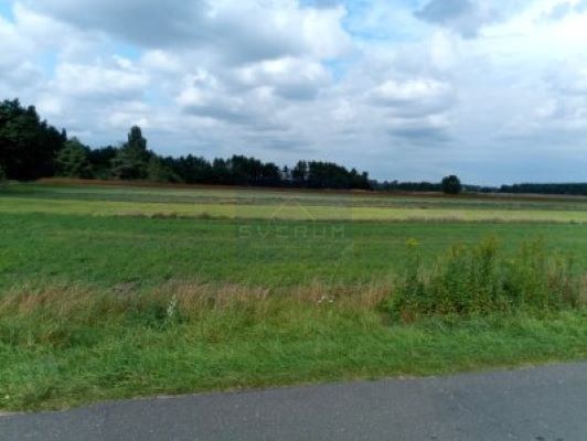 Działka na Sprzedaż, 13644.00m2, Dankowice - 4