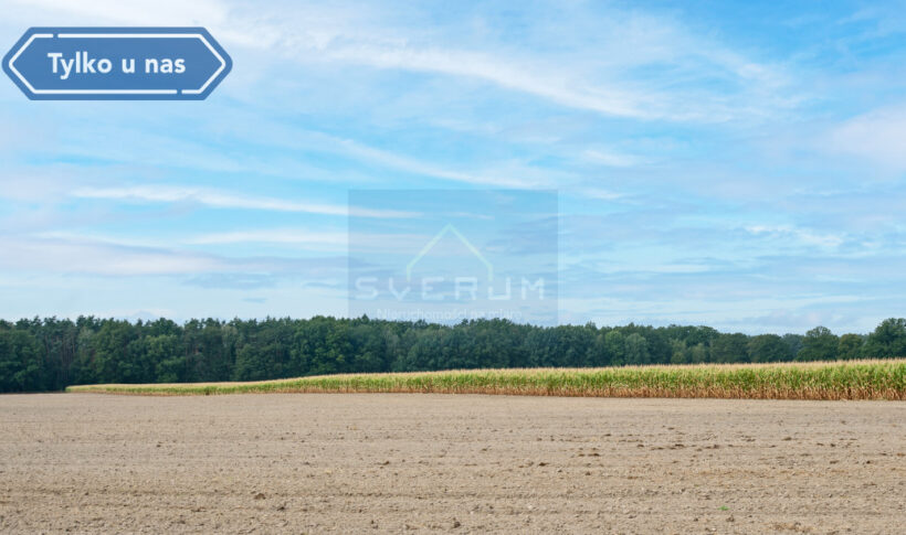 Mieszkanie na Sprzedaż, 50.00m2, Wędzina - 22