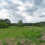 Działka na Sprzedaż, 4983.00m2, Cynków - 1