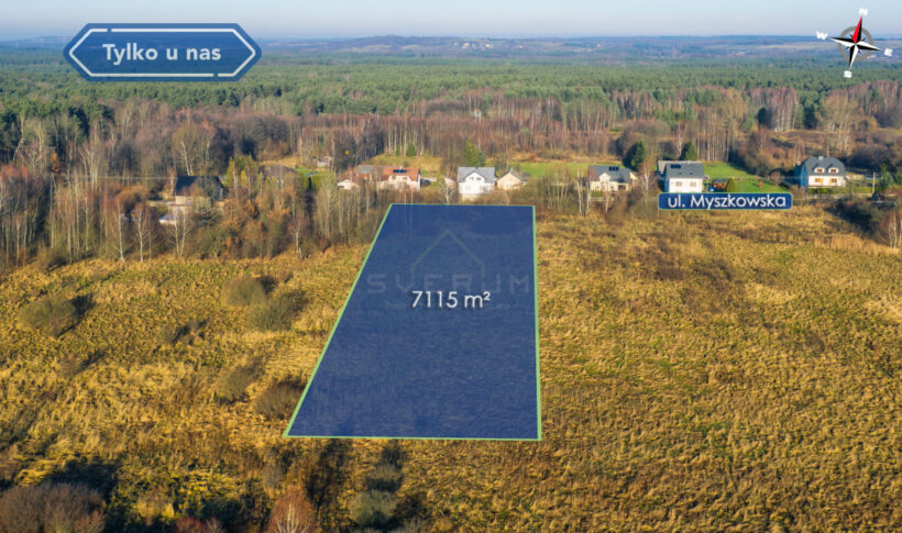 Działka na Sprzedaż, 7115.00m2, Góra Włodowska - 4