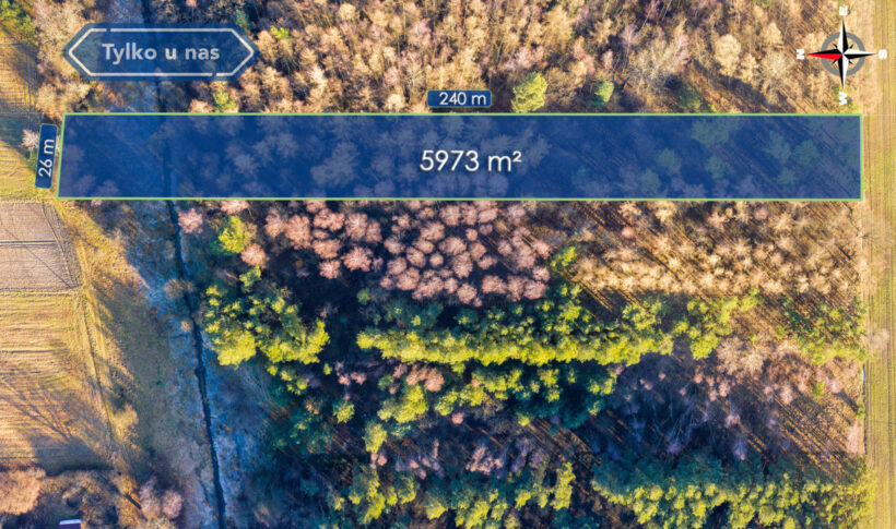 Działka na Sprzedaż, 5973.00m2, Borowe - 3