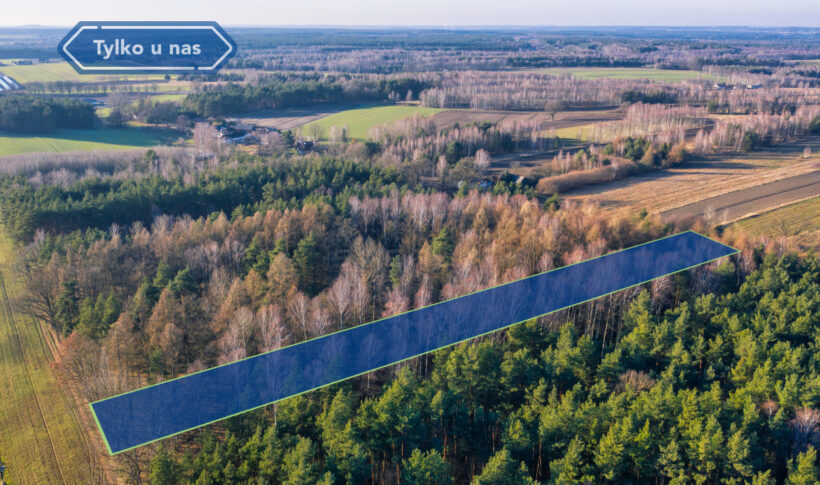 Działka na Sprzedaż, 5973.00m2, Borowe - 4