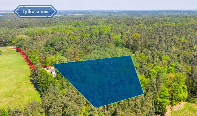 Lokal komercyjny na Sprzedaż, 247.79m2, Wręczyca Wielka - 9