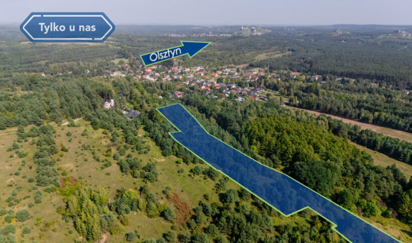 Działka na Sprzedaż, 57198.00m2, Skrajnica - 4